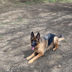 Meet your Posher, Manisha